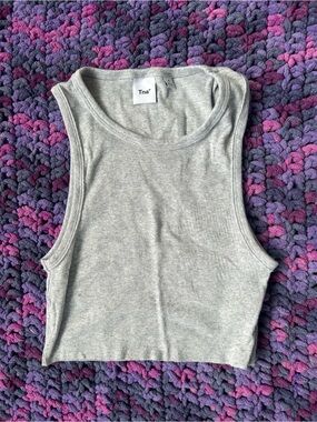 Aritzia Tna Light Gray Ribbed Cropped Tank Top